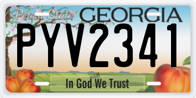 GA license plate PYV2341