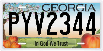 GA license plate PYV2344