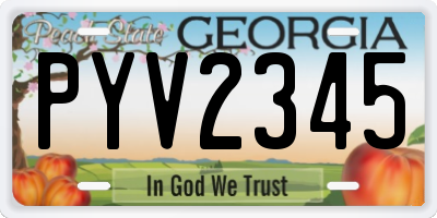 GA license plate PYV2345