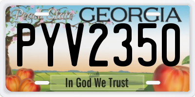GA license plate PYV2350