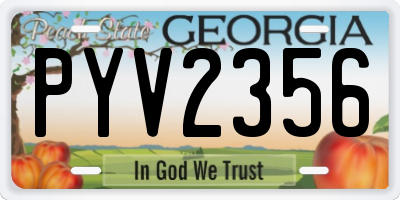 GA license plate PYV2356