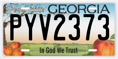 GA license plate PYV2373
