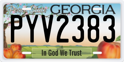 GA license plate PYV2383