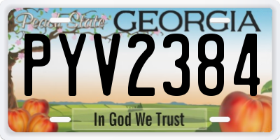GA license plate PYV2384