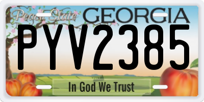 GA license plate PYV2385