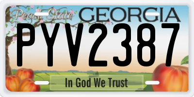 GA license plate PYV2387