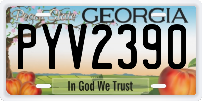 GA license plate PYV2390