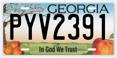 GA license plate PYV2391