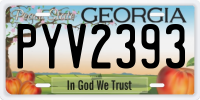 GA license plate PYV2393