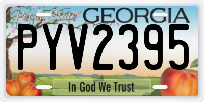 GA license plate PYV2395