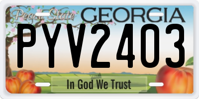 GA license plate PYV2403