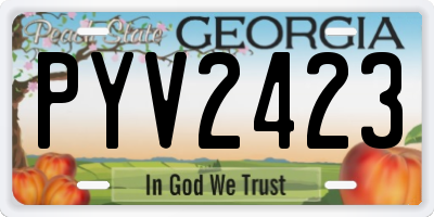 GA license plate PYV2423