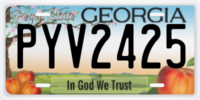 GA license plate PYV2425
