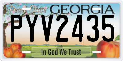 GA license plate PYV2435