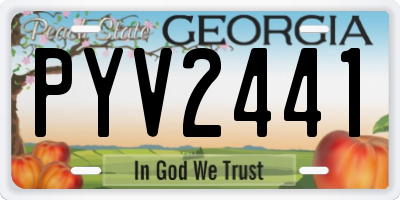 GA license plate PYV2441