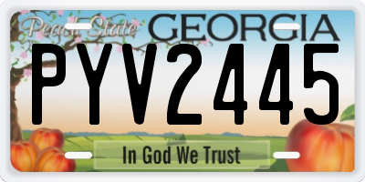 GA license plate PYV2445