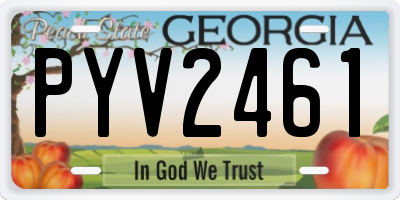 GA license plate PYV2461