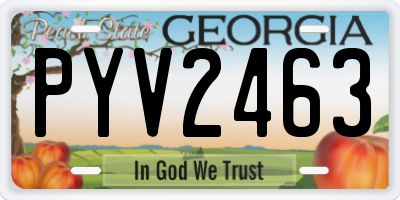GA license plate PYV2463