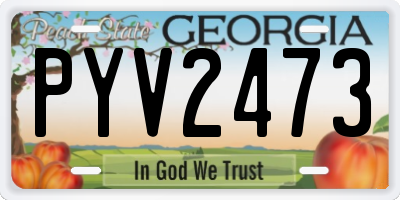 GA license plate PYV2473