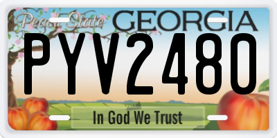 GA license plate PYV2480