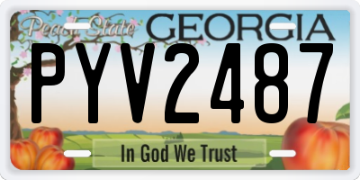 GA license plate PYV2487