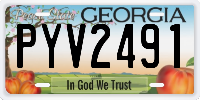 GA license plate PYV2491