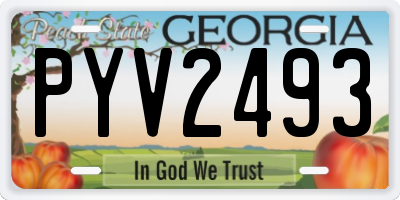 GA license plate PYV2493