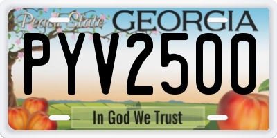 GA license plate PYV2500