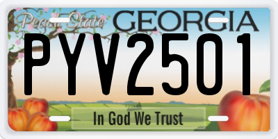 GA license plate PYV2501