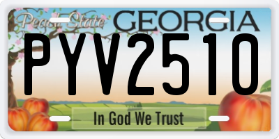 GA license plate PYV2510