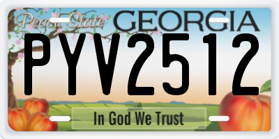 GA license plate PYV2512