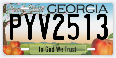 GA license plate PYV2513