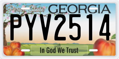 GA license plate PYV2514