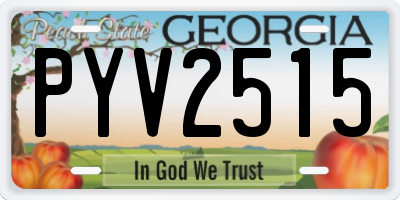 GA license plate PYV2515