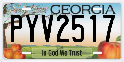 GA license plate PYV2517