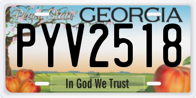 GA license plate PYV2518