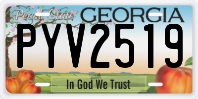 GA license plate PYV2519