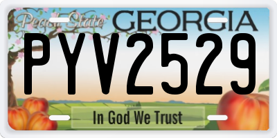 GA license plate PYV2529