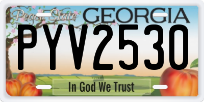 GA license plate PYV2530