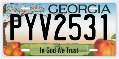 GA license plate PYV2531