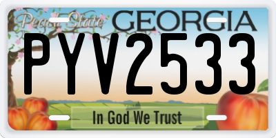 GA license plate PYV2533