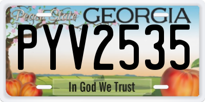 GA license plate PYV2535