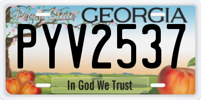 GA license plate PYV2537