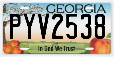 GA license plate PYV2538