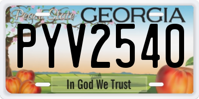 GA license plate PYV2540