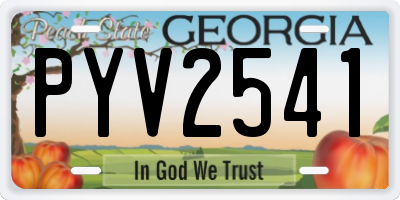 GA license plate PYV2541