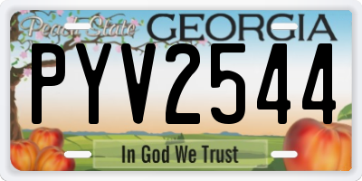 GA license plate PYV2544