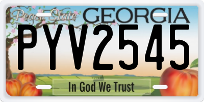 GA license plate PYV2545