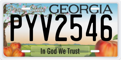 GA license plate PYV2546