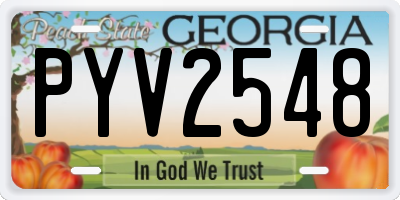 GA license plate PYV2548